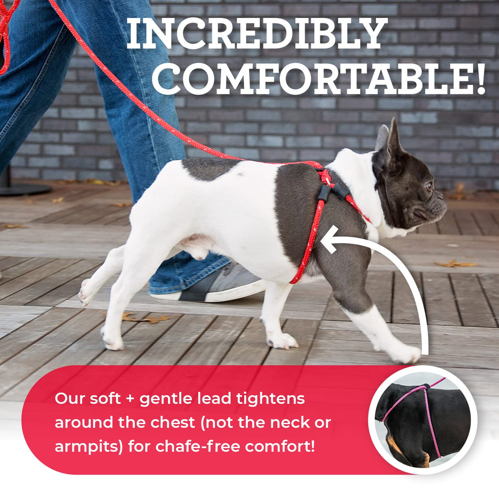 Harness Lead dog-walking in soft, cushioned rope harness reduces tugging and enhances control.