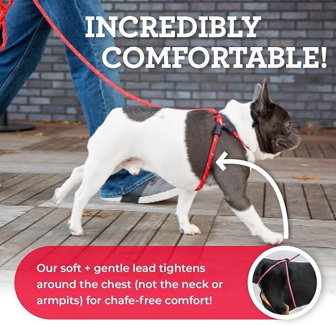 Harness Lead escape-proof design close-up on chest area and fittings.
