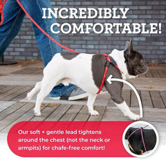 Harness Lead escape-proof design close-up on chest area and fittings.
