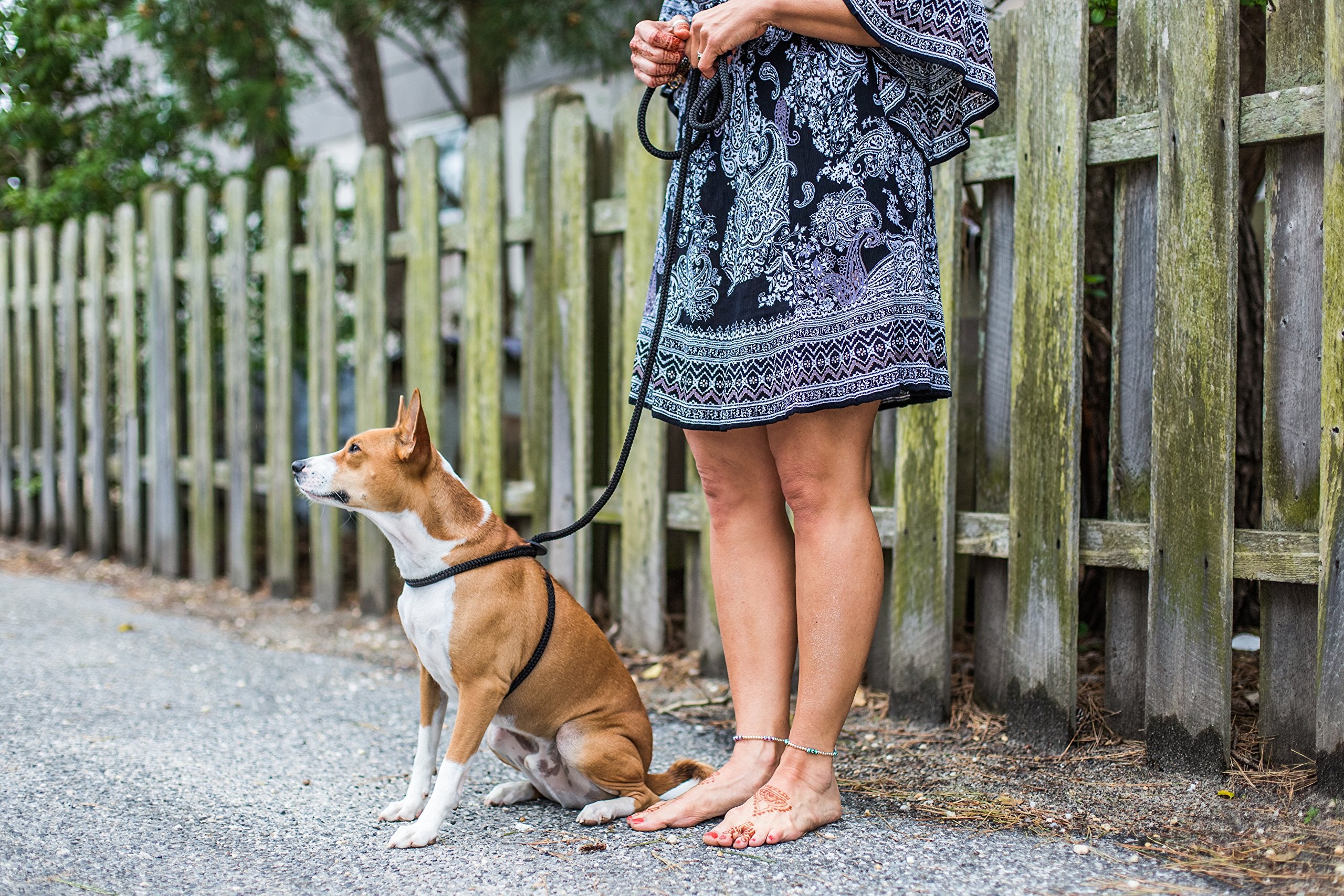 Harness Lead made in the USA highlights thoughtful craftsmanship and durable design.