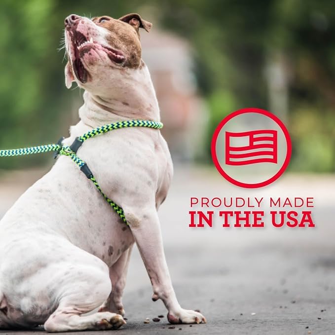 Harness Lead USA handcrafted dog harness for safer, confident walks.