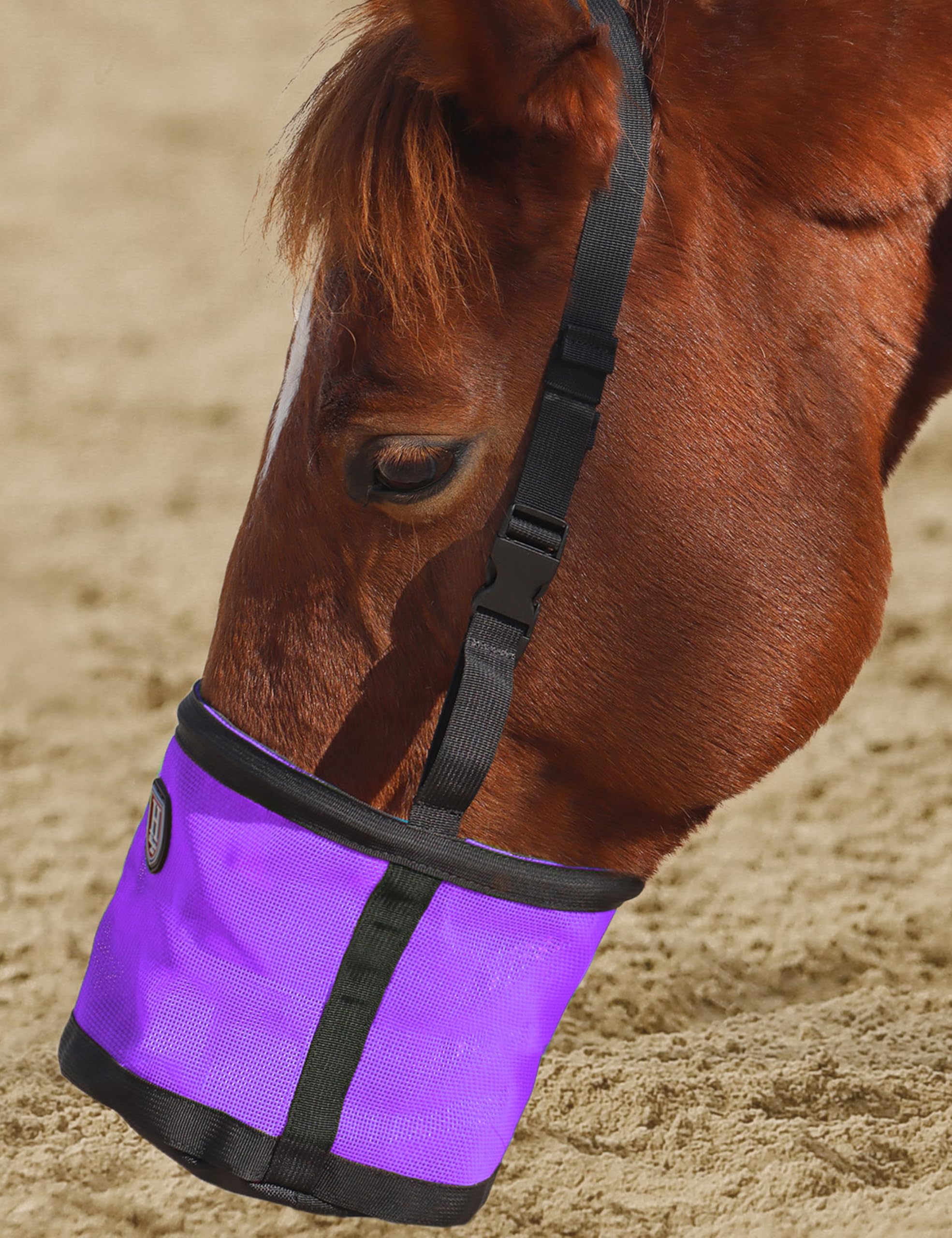 Harrison Howard breathable mesh sides promote ventilation during horse meals on the go