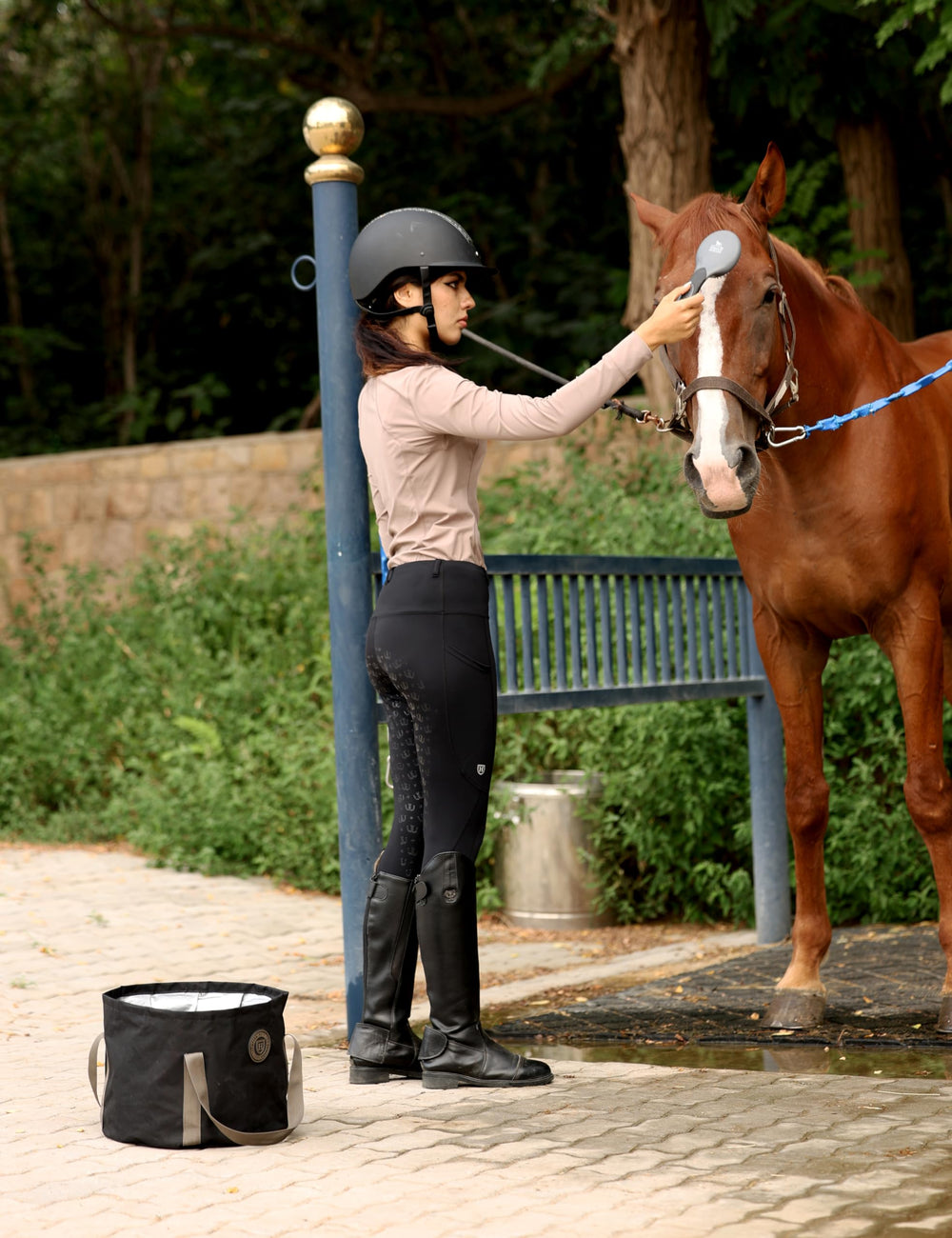 Harrison Howard grooming kit mane and tail brush smooths tangles for neat looks.