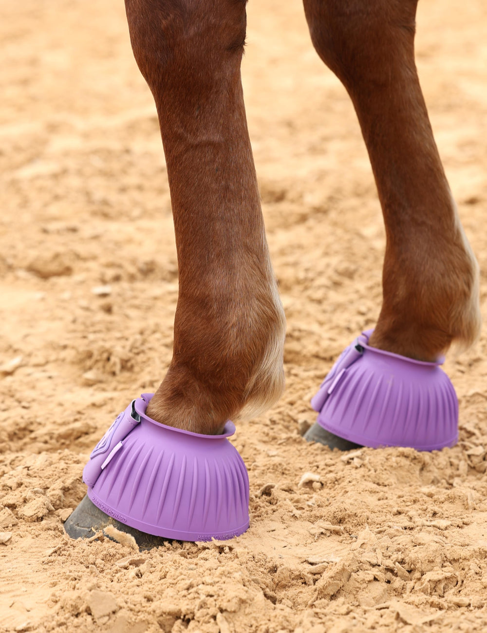 Harrison Howard large leather tape design enables quick, secure fastening on violet-xl boots