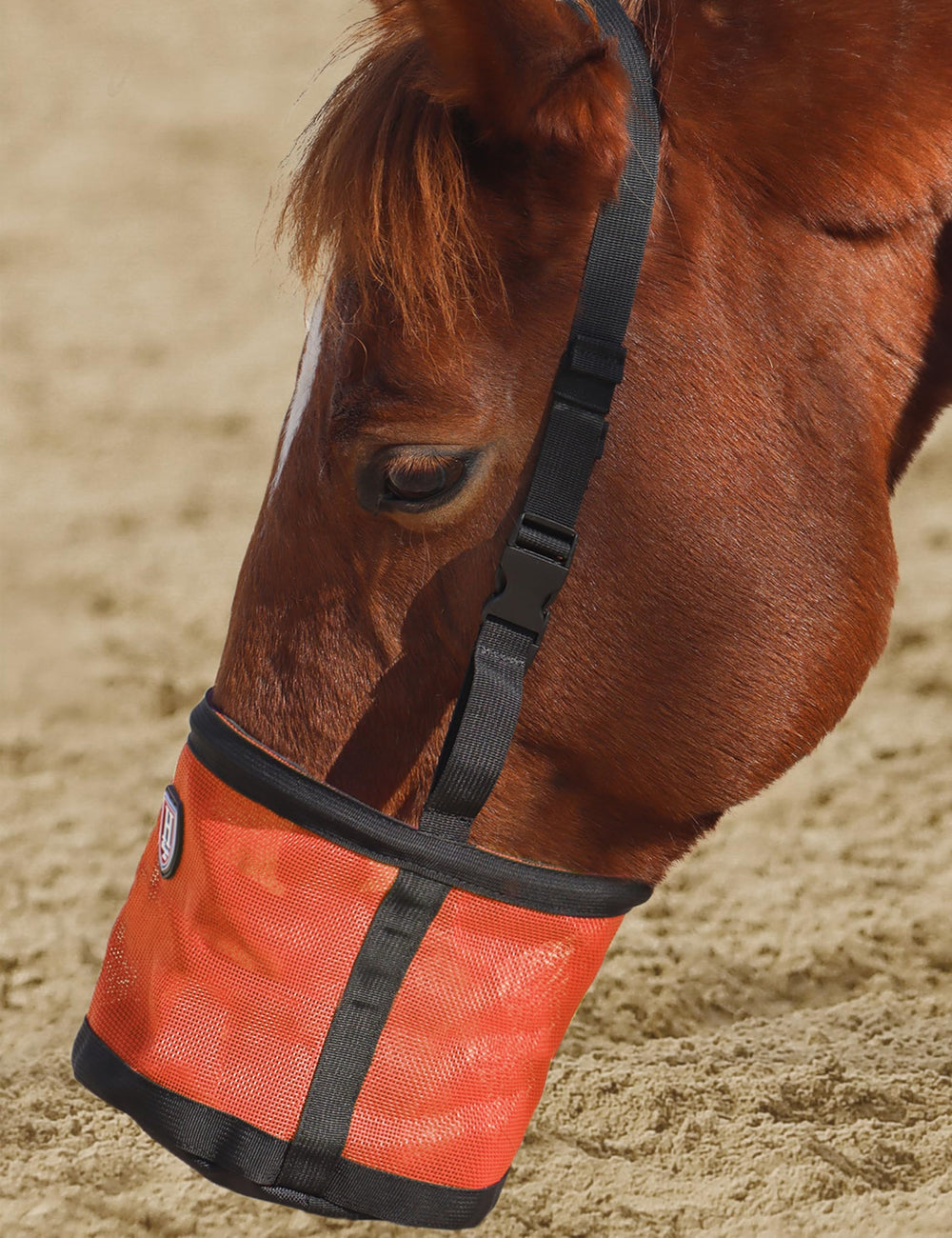 Harrison Howard muzzle bag designed for trail feeding and on-the-go use.