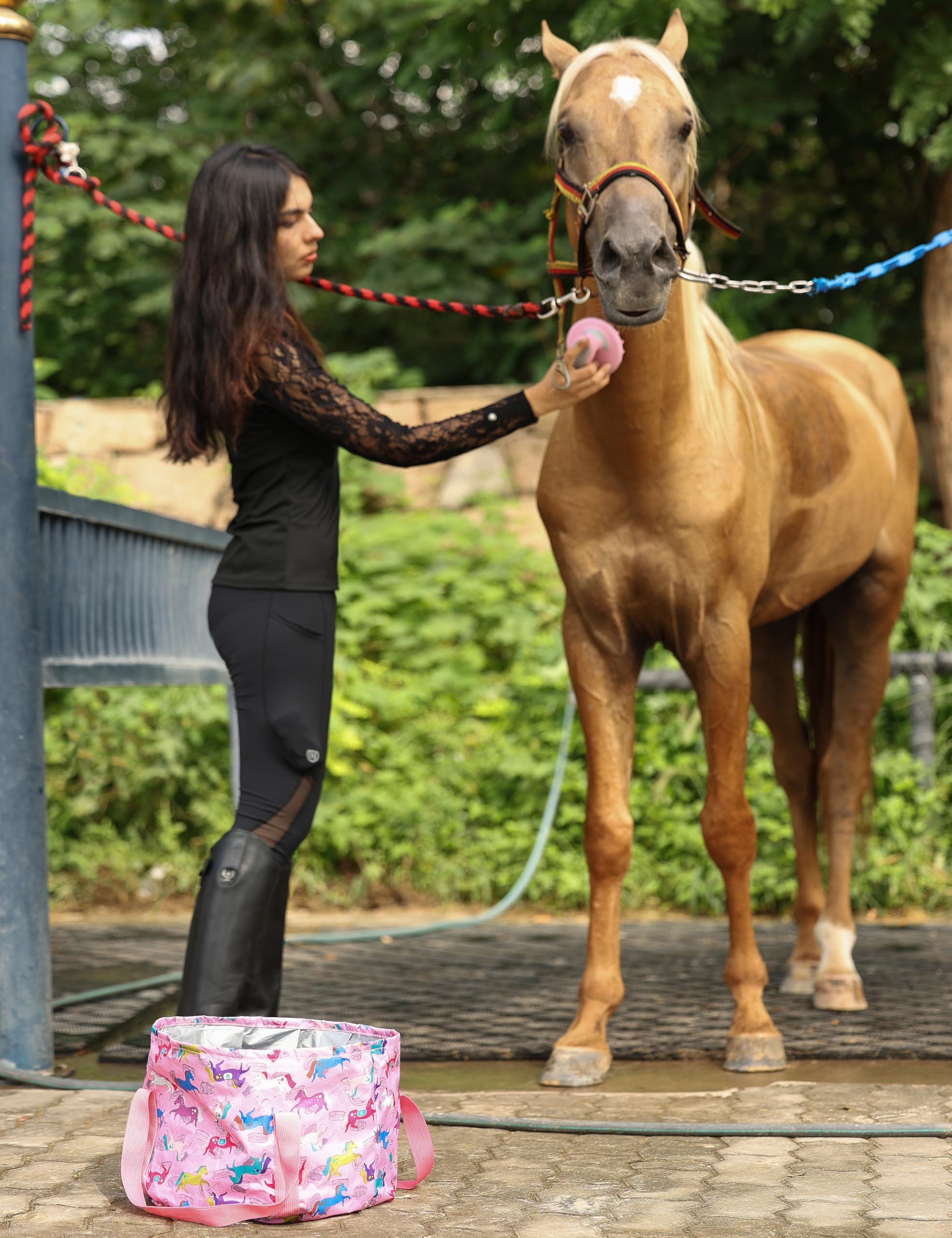 Harrison Howard Pink Brushstroke Ponies grooming session scene for friendly routine