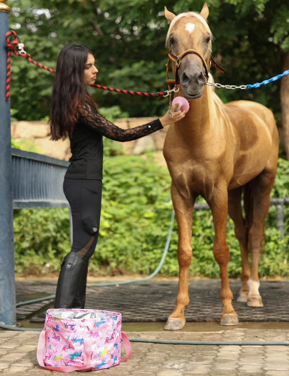 Harrison Howard Pink Brushstroke Ponies grooming session scene for friendly routine