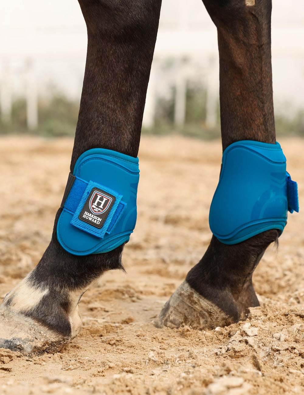 Harrison Howard Azure L on horse during jumping demonstrates full coverage