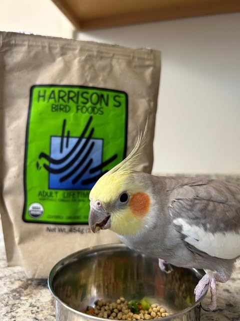 Harrison's Bird Foods Adult Lifetime Fine served in a dish suggests ready-to-eat, nutrient-dense feeding.