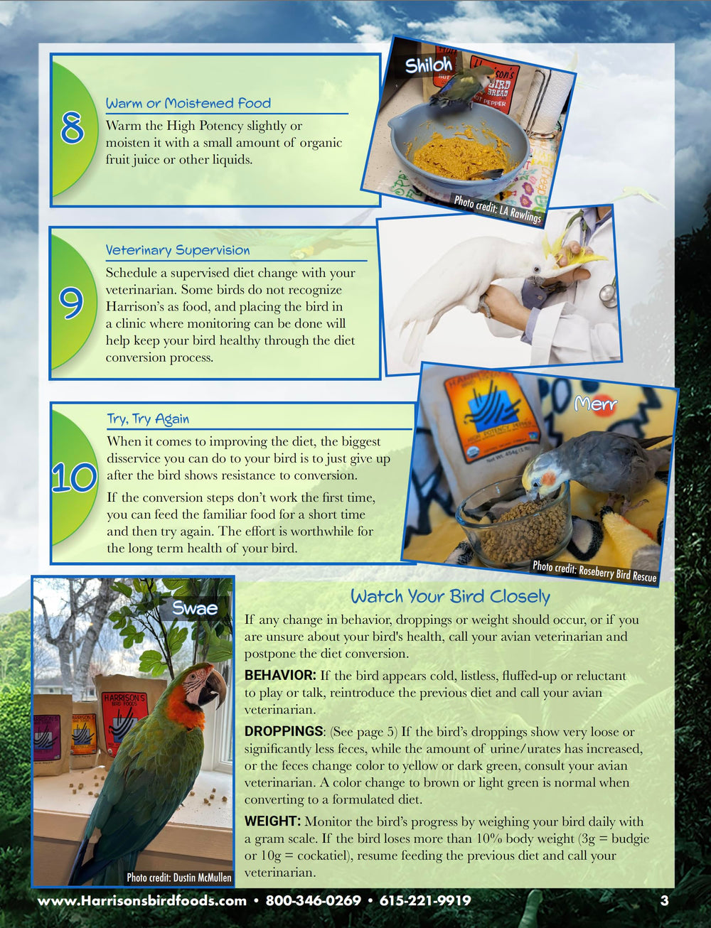 Birds dining from a dish with Harrison's Lifetime Fine promotes steady daily energy.