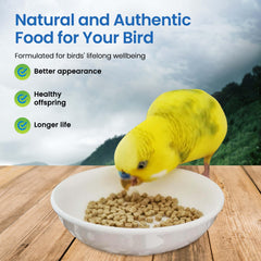 Harrison's Organic Non-GMO ingredients showcase natural nutrition for plumage.