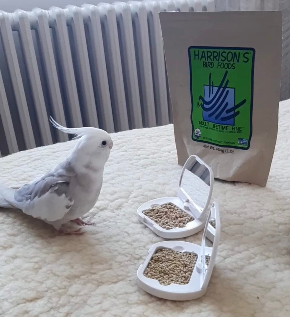 Small to medium birds enjoying Lifetime Fine meal scene for everyday care.