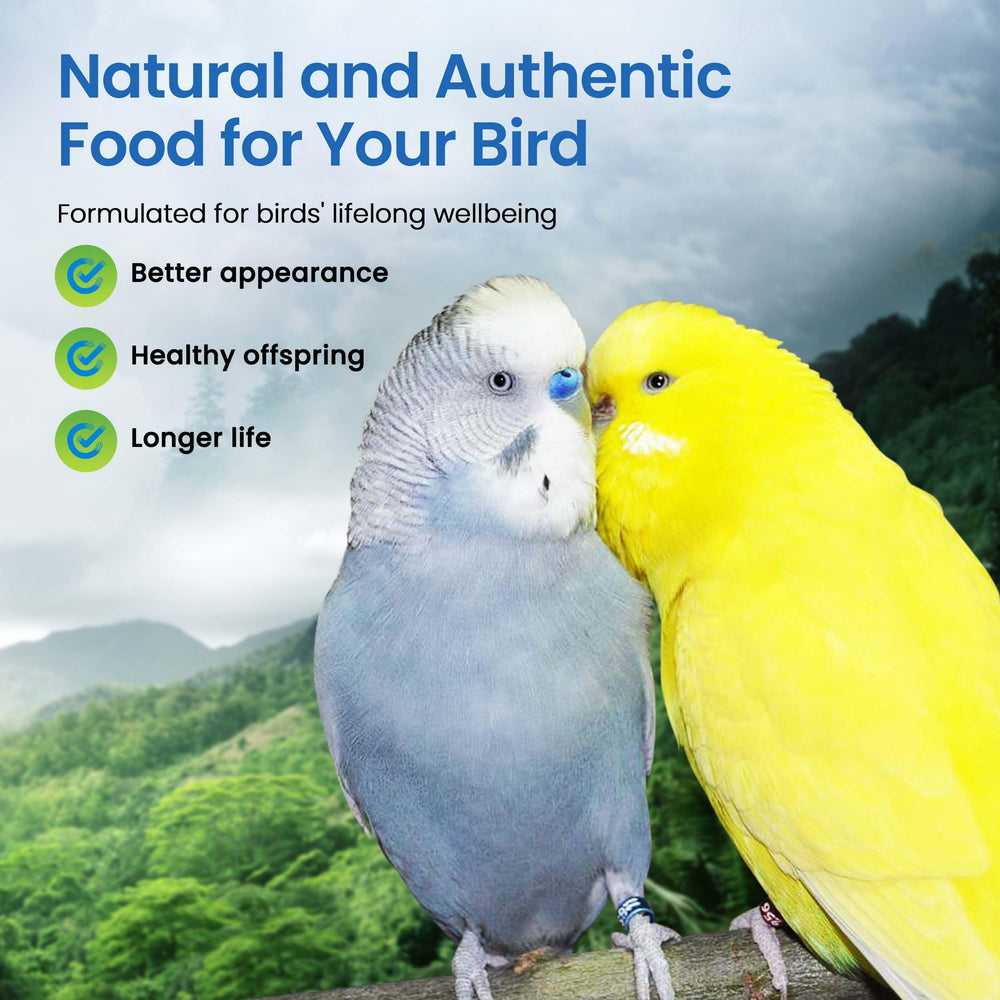 Harrison's Adult Lifetime Mash feeding scene shows birds enjoying a nutrient-rich meal.