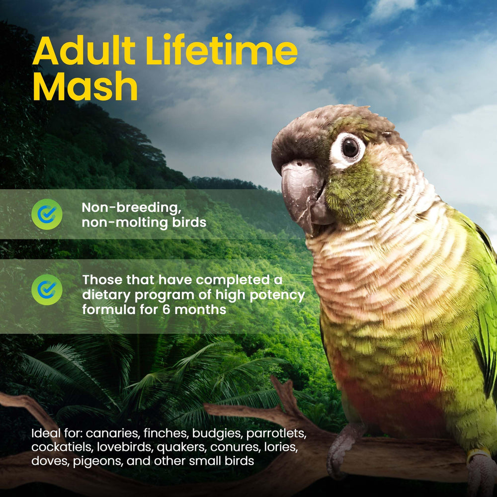 Harrison's Adult Lifetime Mash powder close-up emphasizes minimally processed, organic whole-food ingredients.