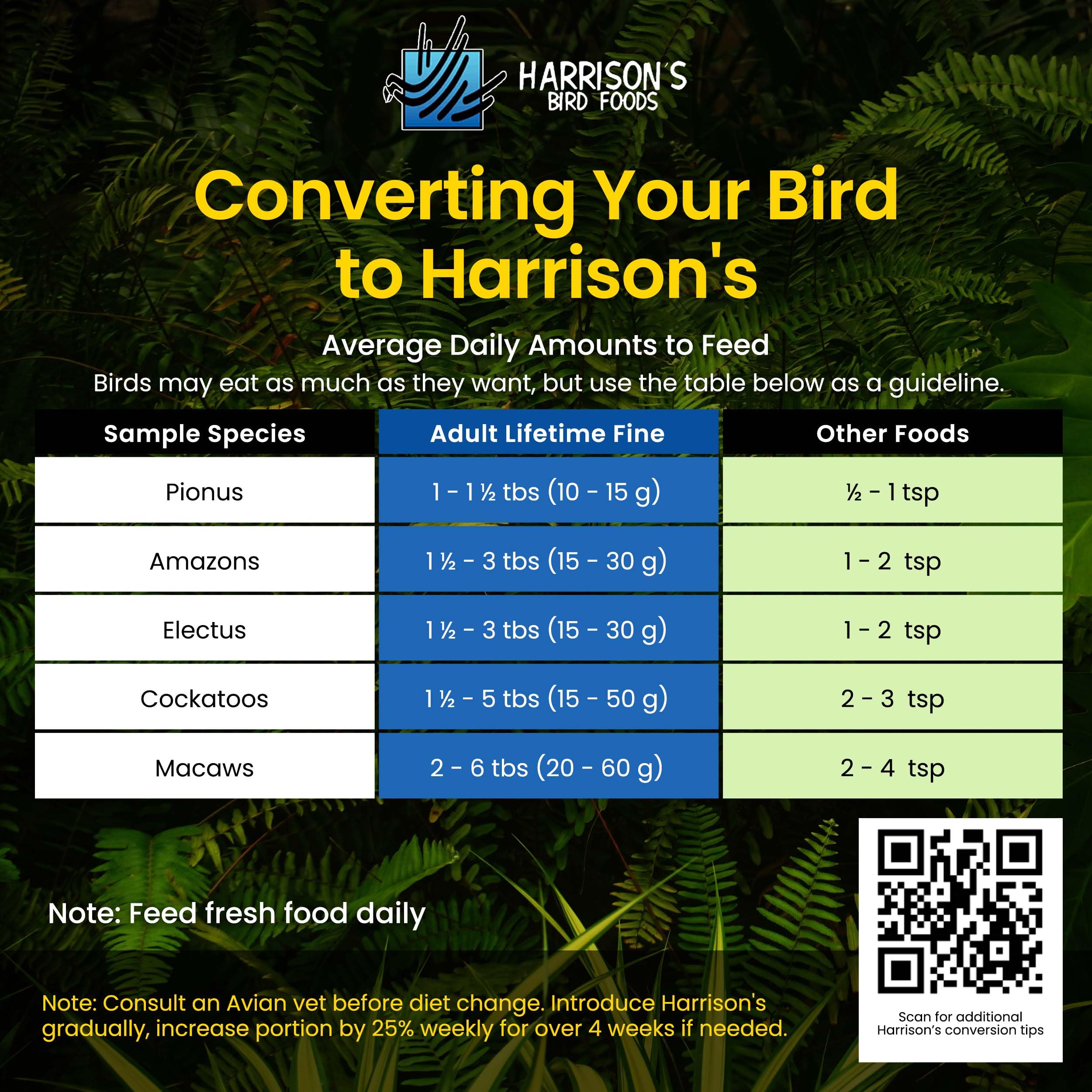 Bird enjoying Harrison's Pepper Lifetime Coarse as enrichment and daily nutrition
