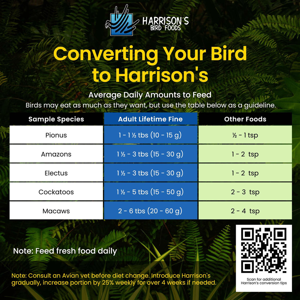 Bird enjoying Harrison's Pepper Lifetime Coarse as enrichment and daily nutrition