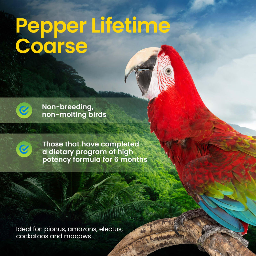 Loosely stirred, lightly cooked Harrison's Pepper Lifetime Coarse texture for easy digestion