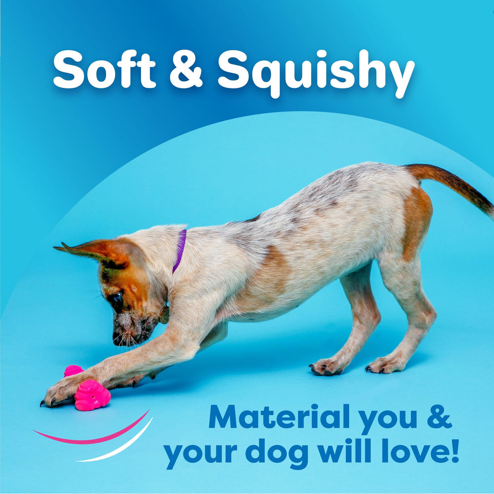 Hartz DuraPlay boomerang toy for small breeds with bacon scent for active play