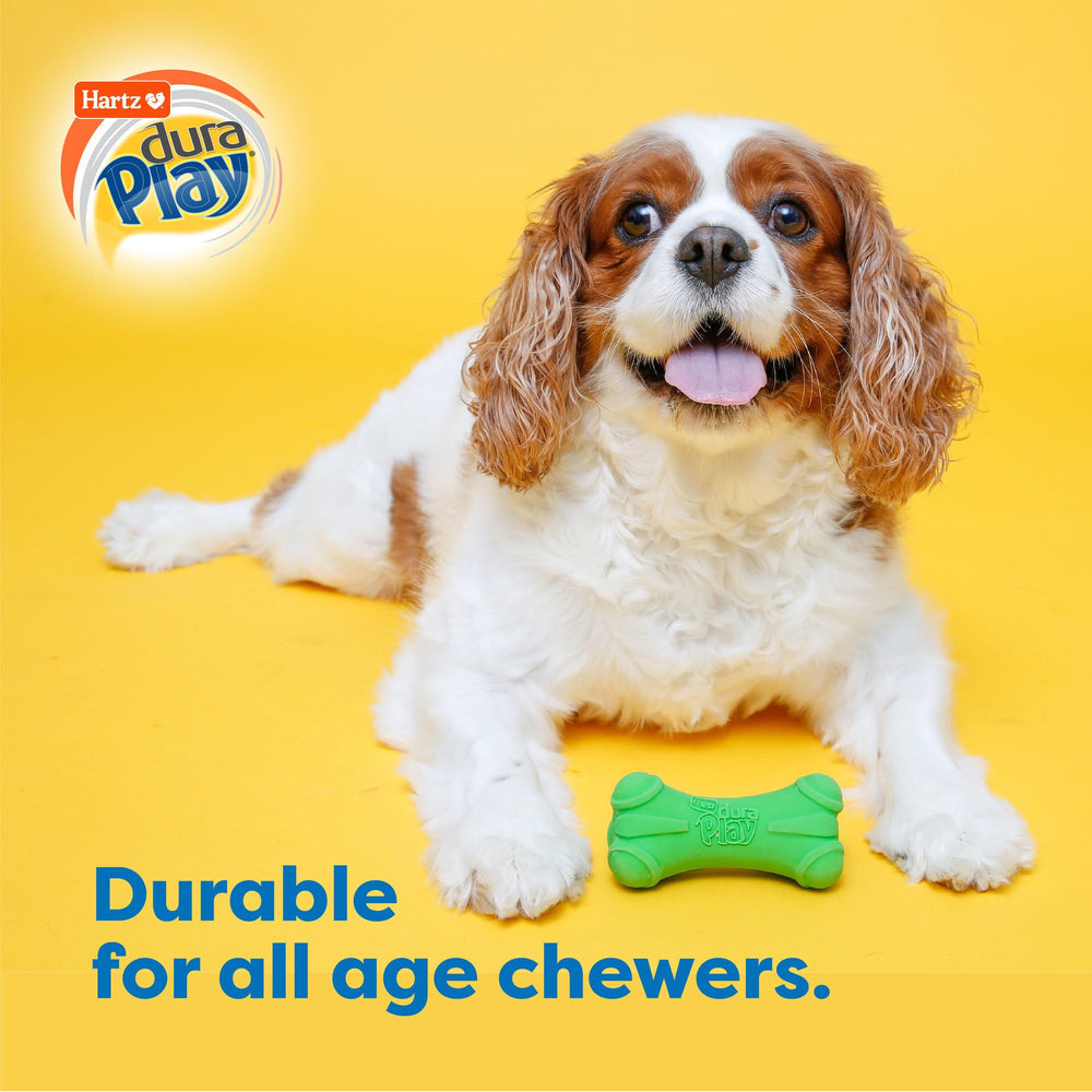 Hartz DuraPlay ball toy for small breeds with foam core for light tossing