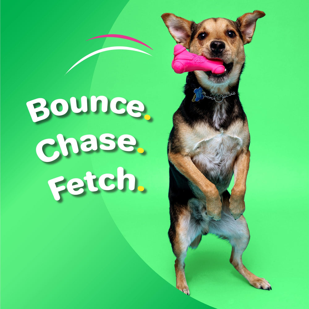 Hartz DuraPlay rocket toy for small breeds designed for fetch and bounce