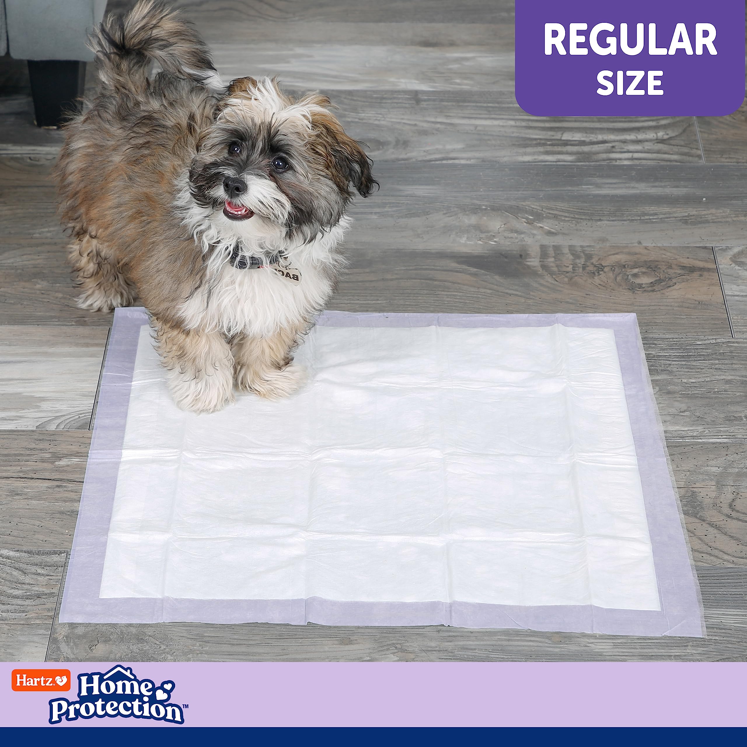 Senior-dog-care-pad in-use demonstrates suitability for limited-movement pets.