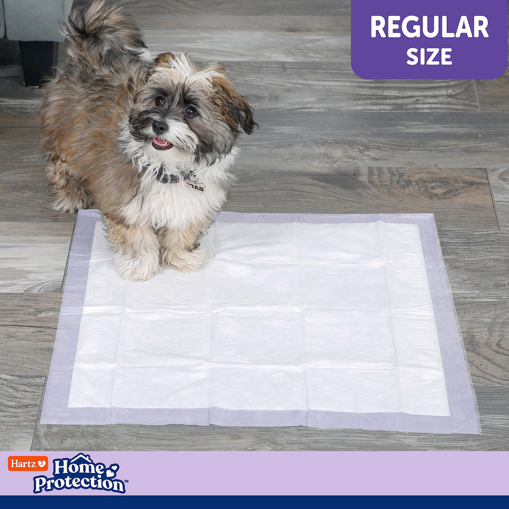 Senior-dog-care-pad in-use demonstrates suitability for limited-movement pets.