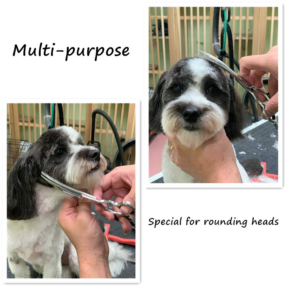 HASHIMOTO curved-blade scissors for precise shaping around a dog's head.