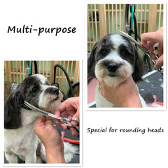 HASHIMOTO curved-blade scissors for precise shaping around a dog's head.