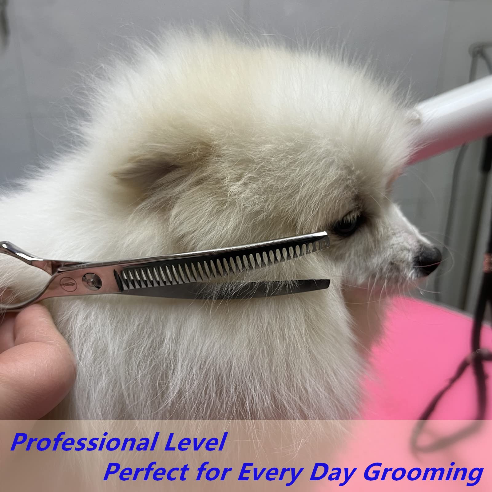 HASHIMOTO curved chunkers in action on a dog’s face for controlled thinning on sensitive areas
