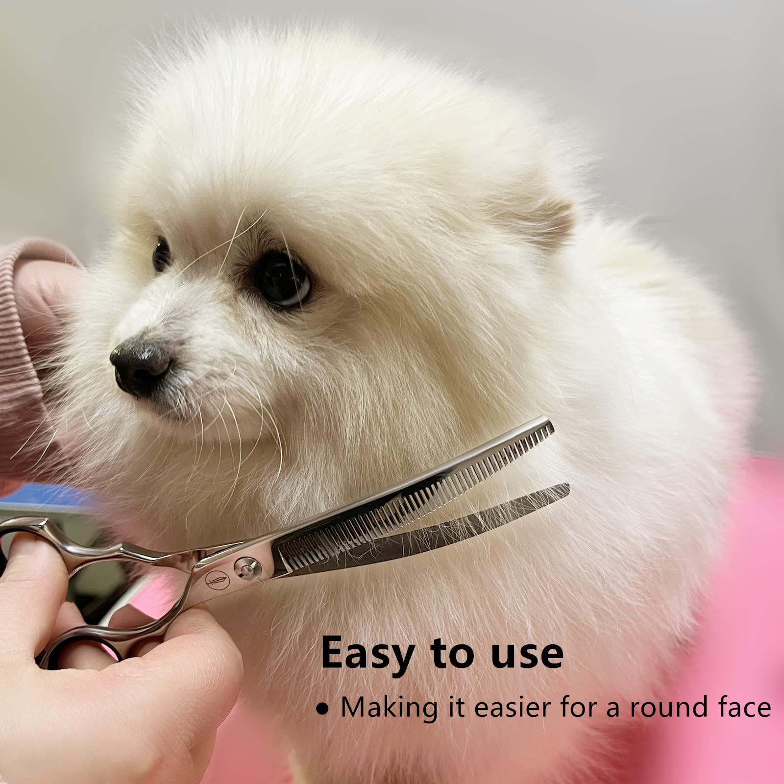 HASHIMOTO curved thinning shears on dog face trimming for balanced shaping.