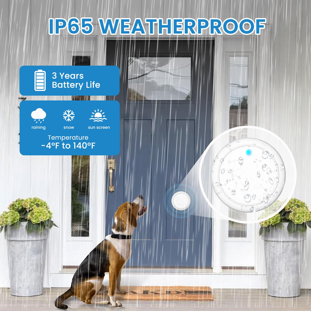 Hathever IP65 touch button ensures weather-ready door access for curious dogs