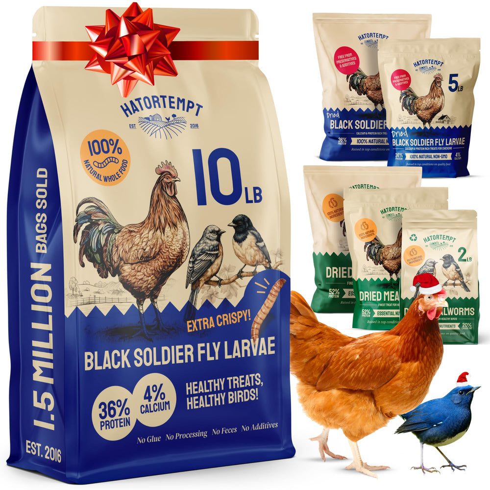 Hatortempt black soldier fly larvae 10lb bag shows a protein-rich poultry supplement