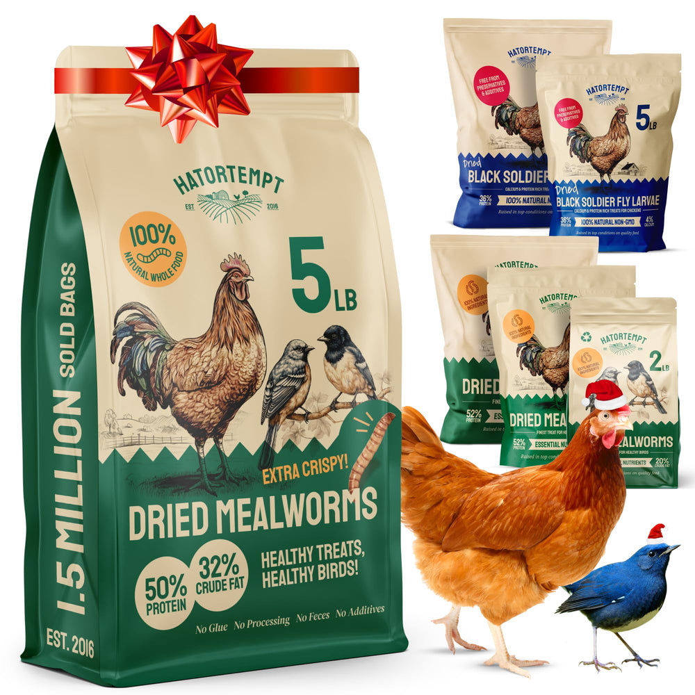 Hatortempt dried mealworms bag close-up highlighting high-protein bird food.
