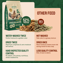 Hatortempt mealworms at outdoor feeder for wild birds.