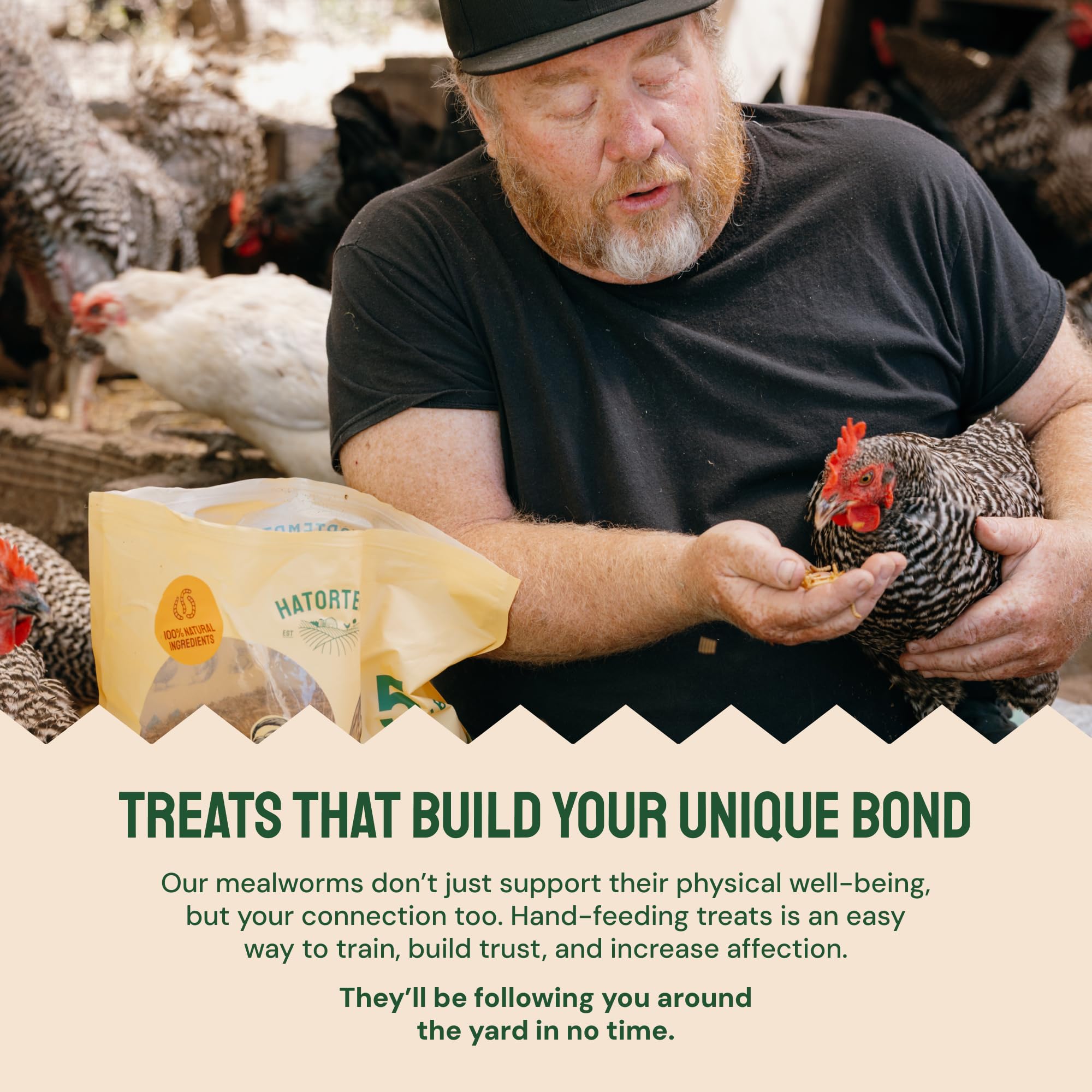 Hatortempt protein-rich chick feed option displayed for winter readiness.