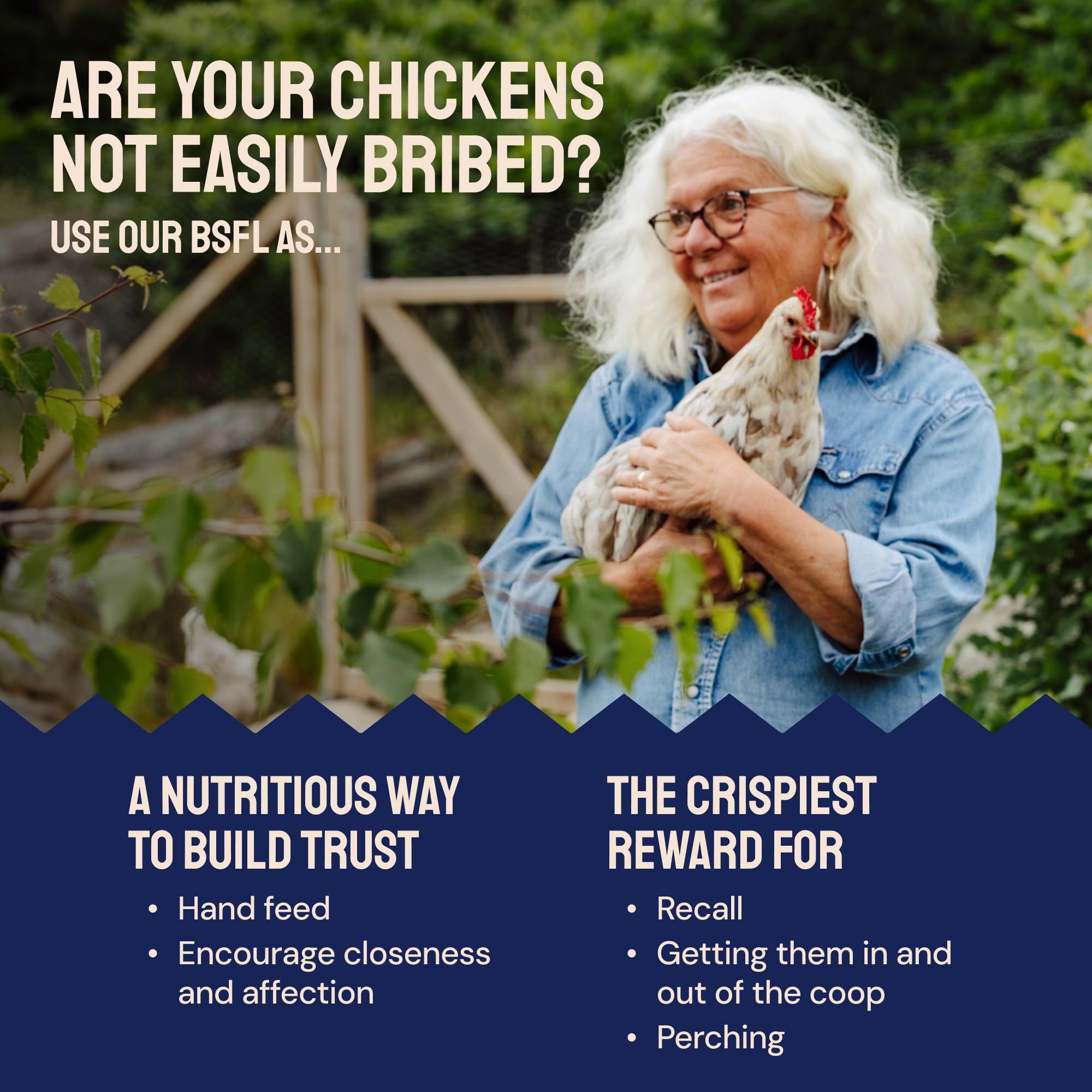 Hatortempt training-rewards-larvae image captures snack-based training opportunities for poultry