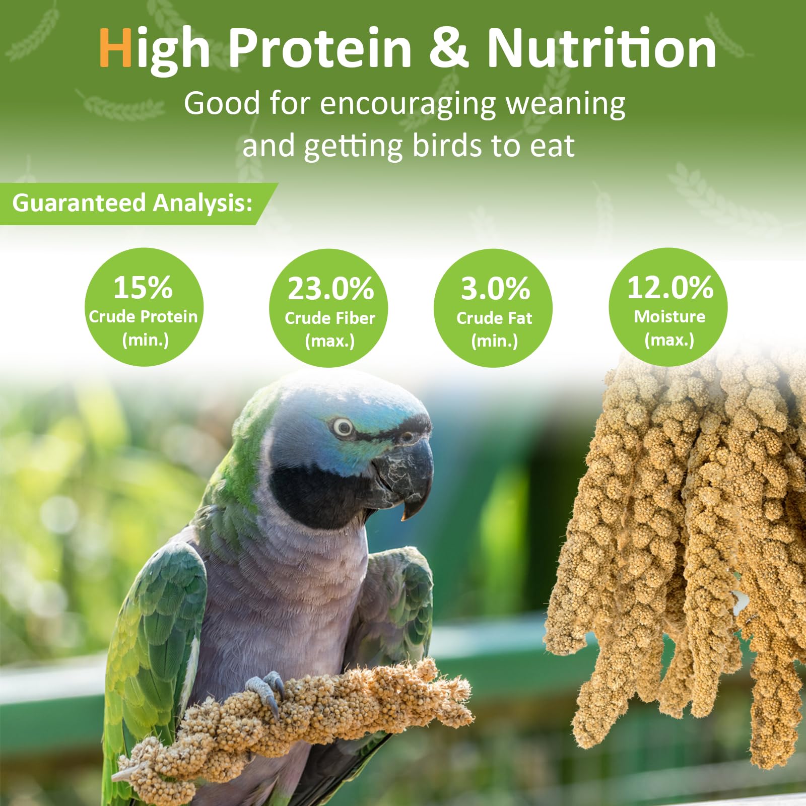 HATORTOP spray millet for birds natural sun dried millet ready to serve