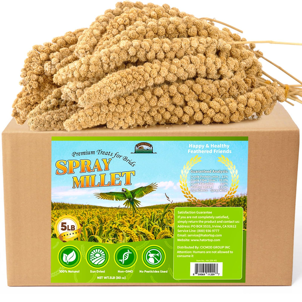 HATORTOP spray millet for birds in perch feeding setup
