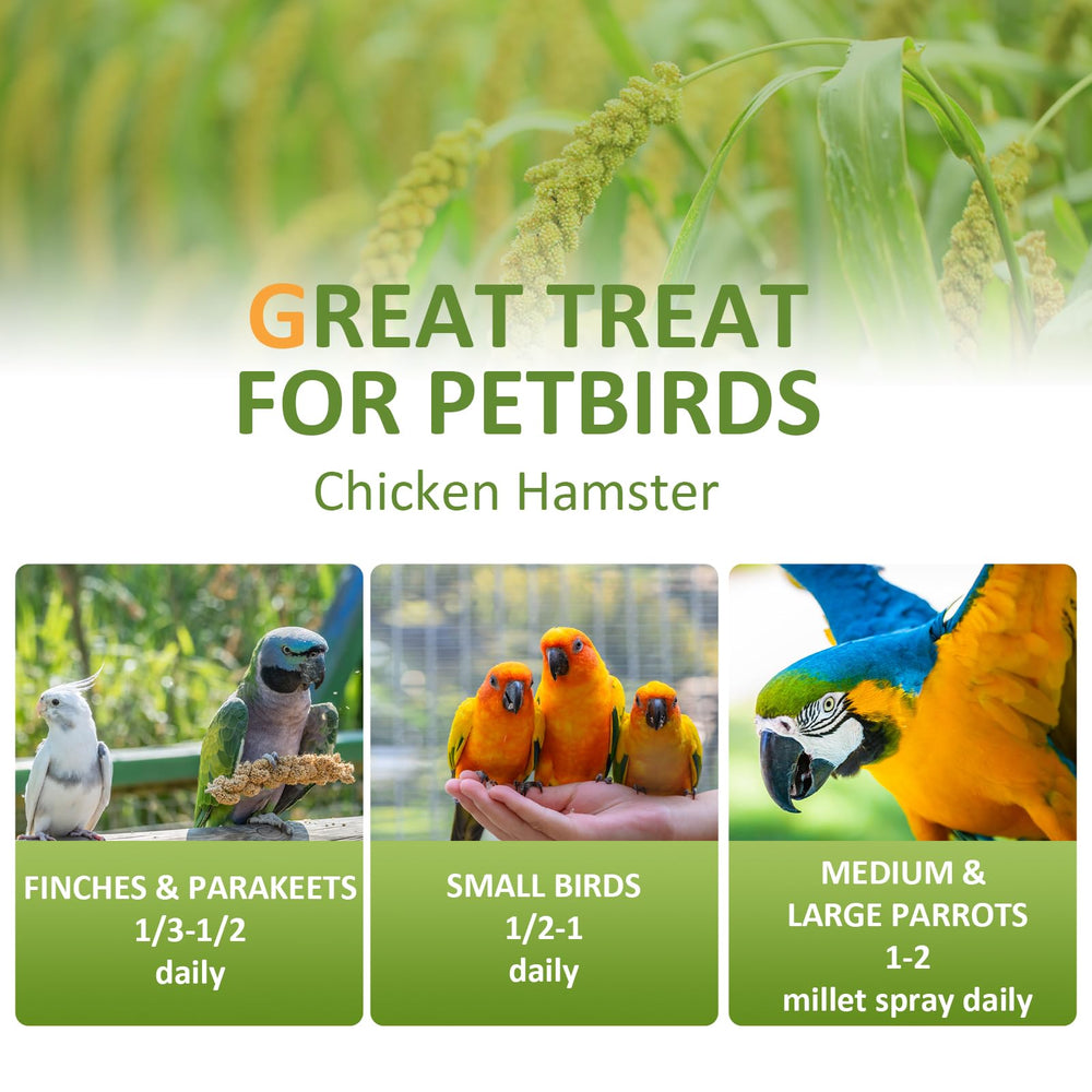 HATORTOP spray millet for birds foraging enrichment during cage play