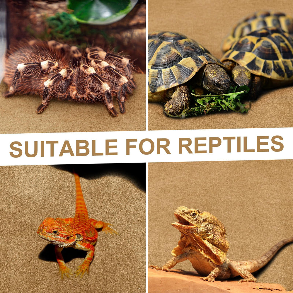 Haull reptile carpet suits tortoises, bearded dragons, snakes and more