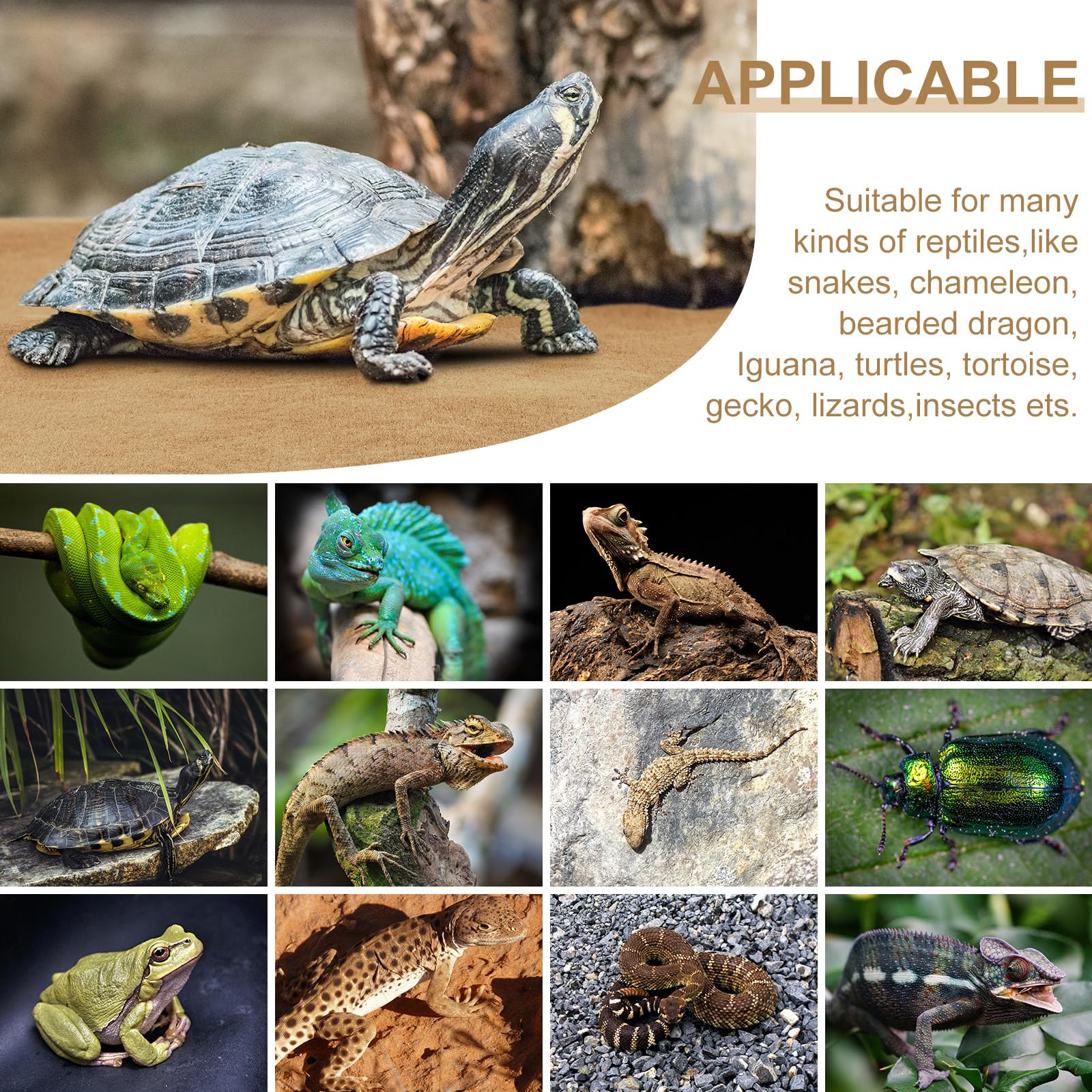 Haull terrarium liner helps create a comfortable habitat and easy cleaning
