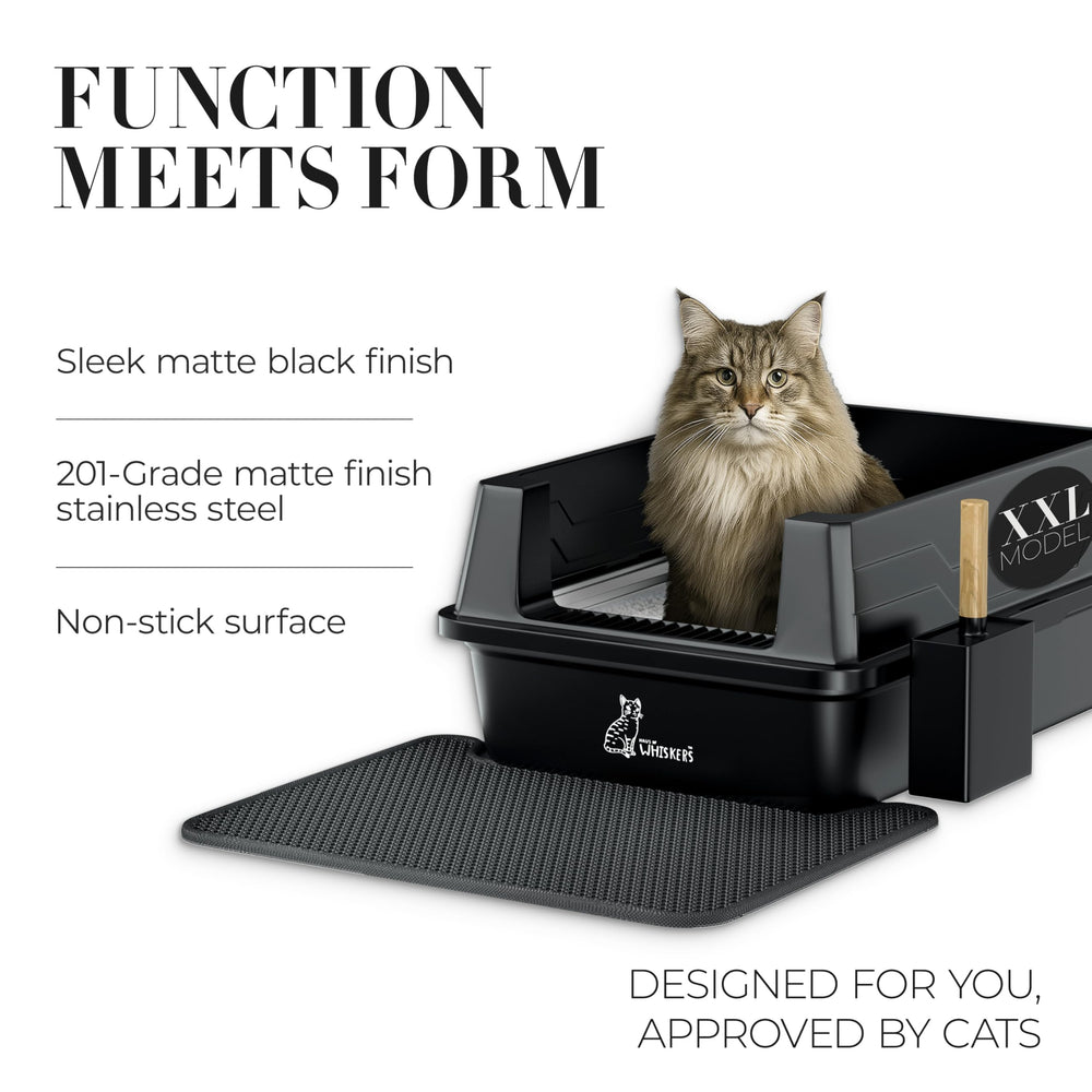 HAUS OF WHISKERS XXL matte black design for modern home decor