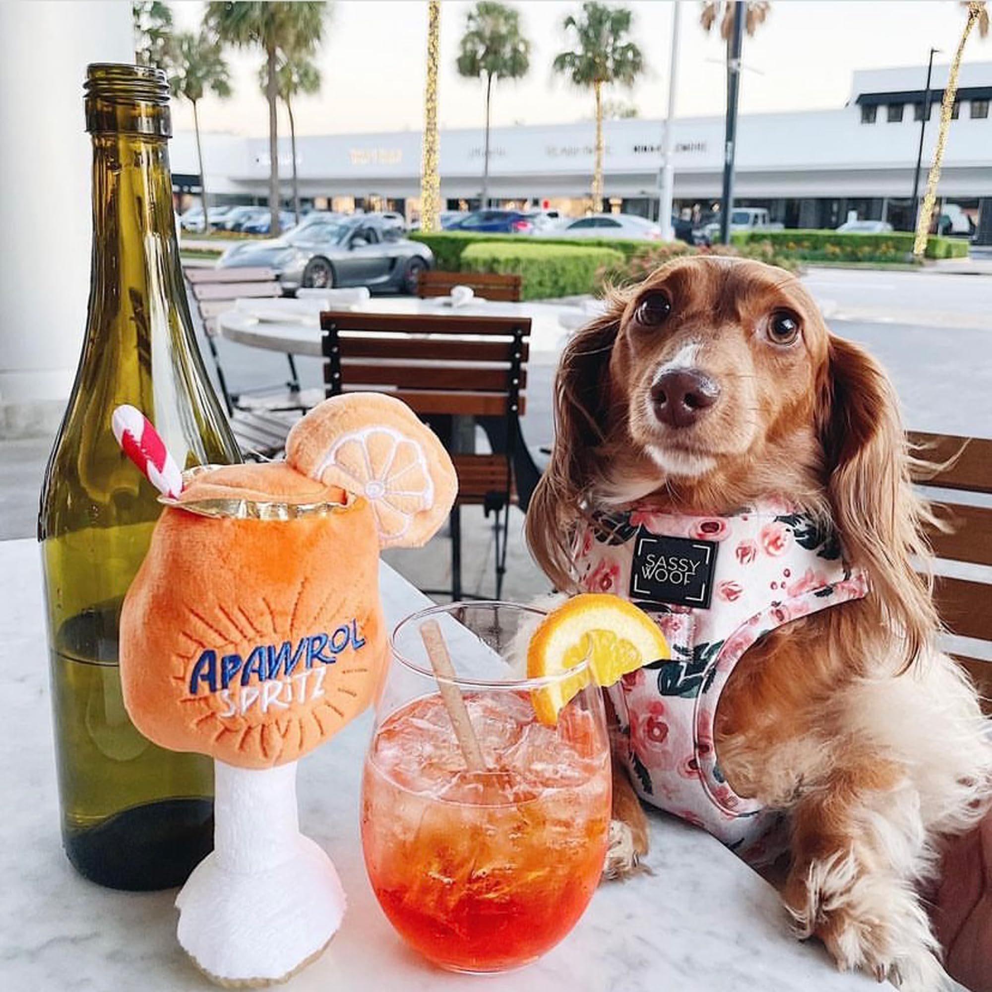 Haute Diggity Dog Apawrol Spritz talla única para todas las razas