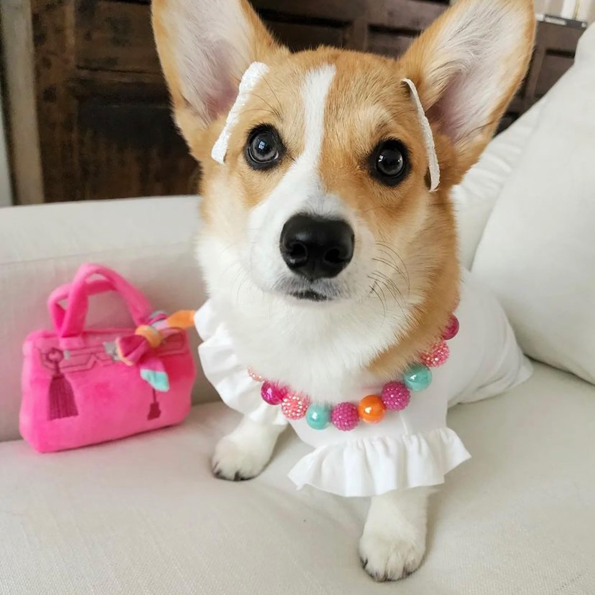 Haute Diggity Dog Barkin Bag washable materials simplify care after messy play sessions.