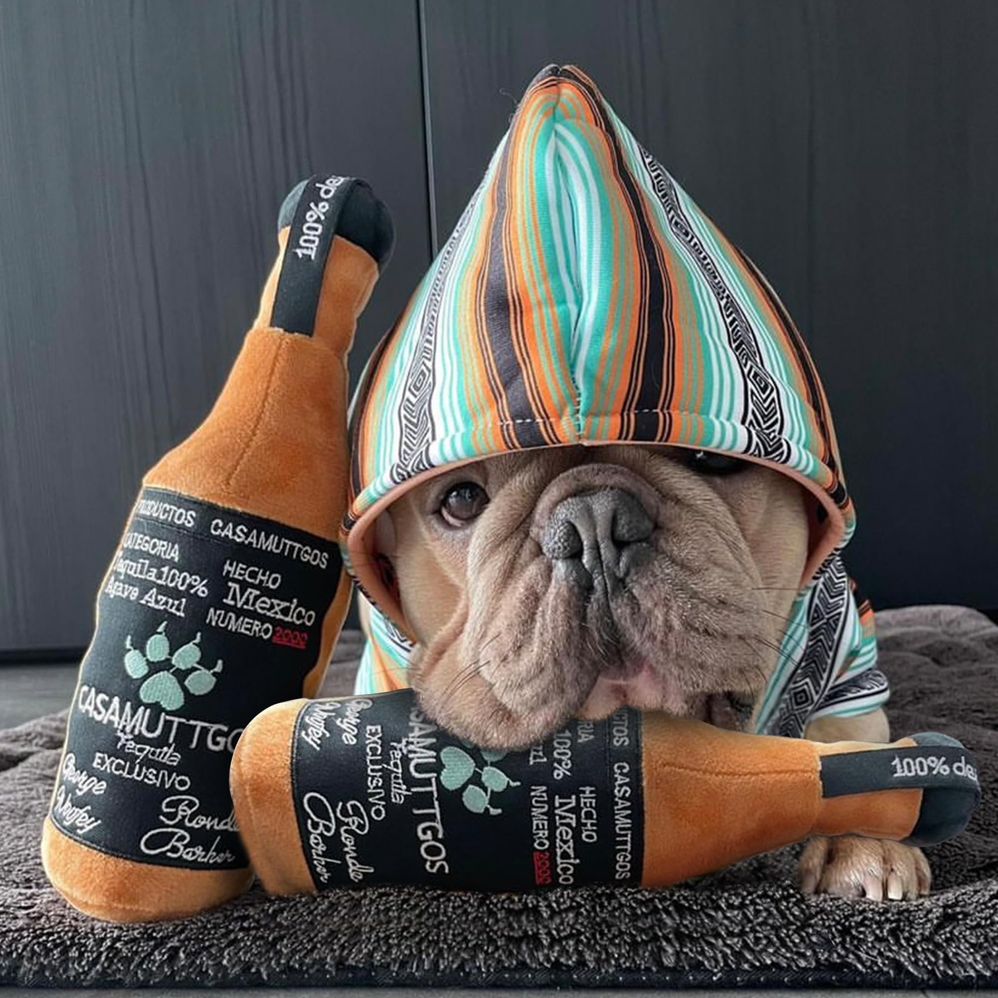 Haute Diggity Casamuttgos Tequila for all breeds supports playful bonding moments.