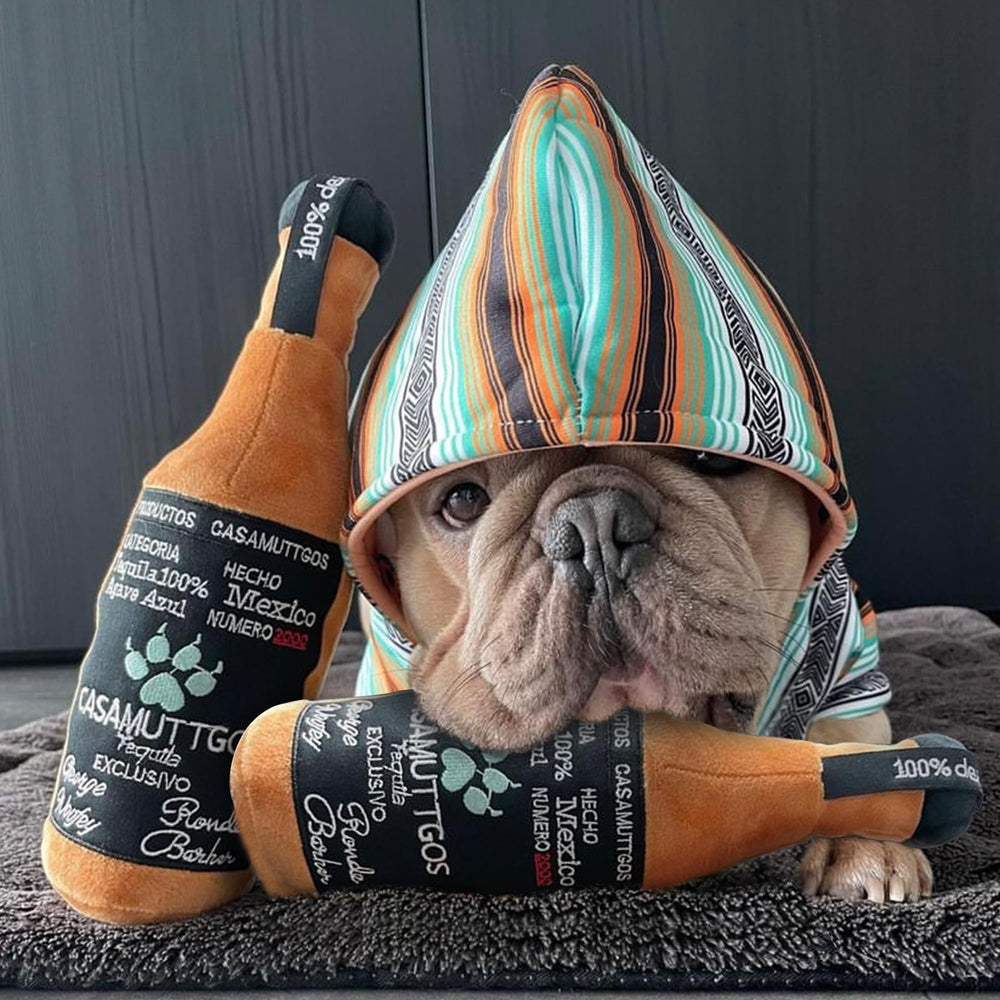 Haute Diggity Casamuttgos Tequila for all breeds supports playful bonding moments.