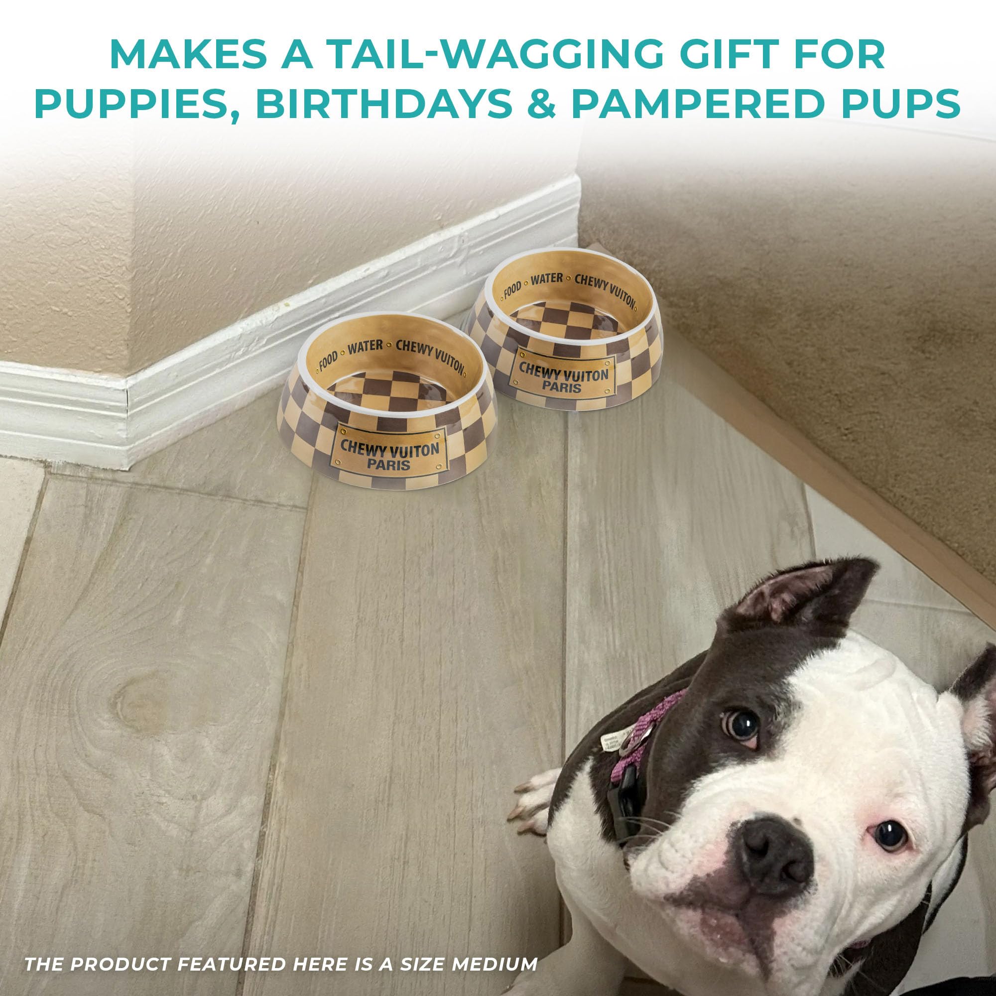 Haute Diggity Dog Checker Chewy Vuiton Size Small bowls fit pets comfortably