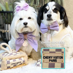 Embroidery details on Haute Diggity Dog Checker Chewy Vuiton trunk add elegant charm.