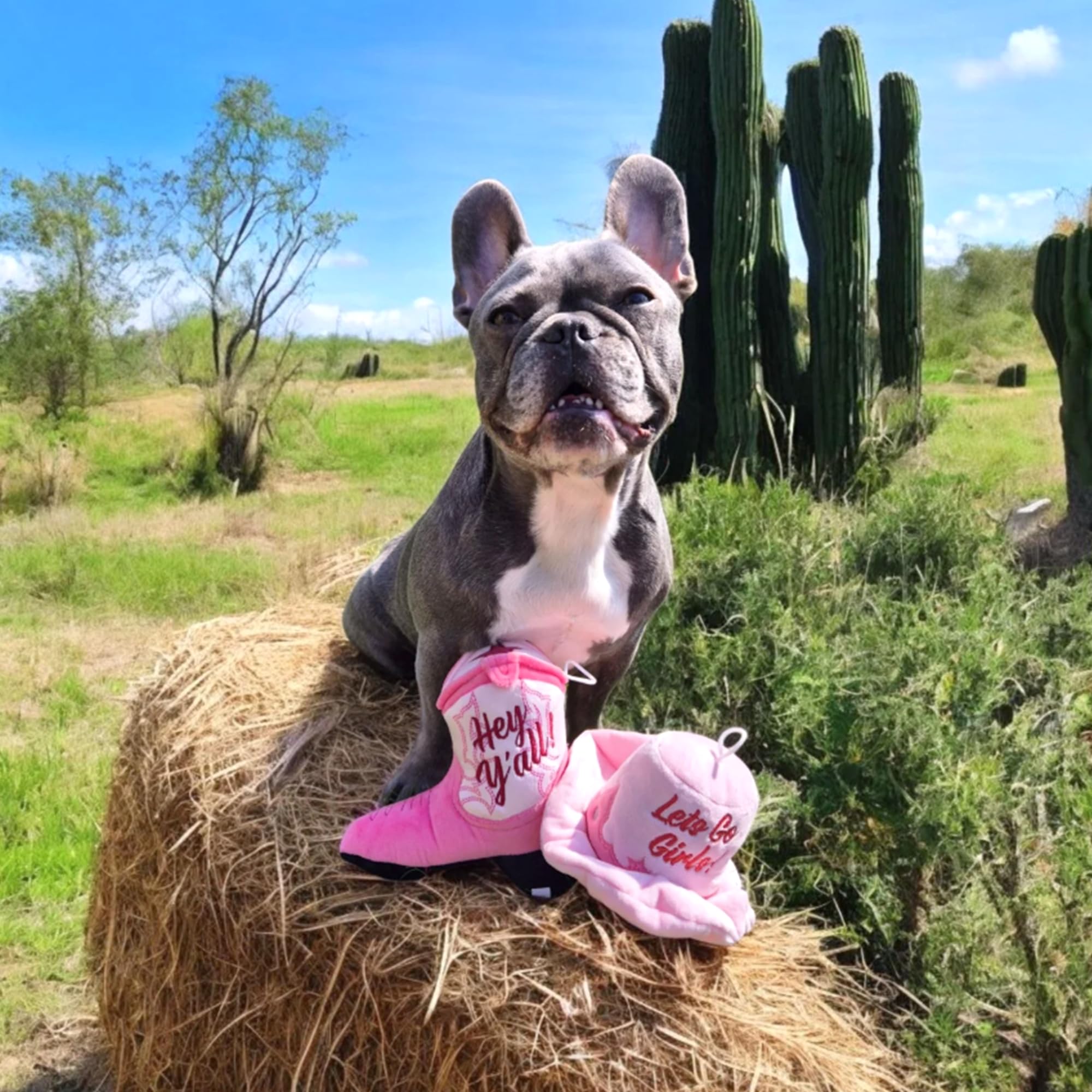 Haute Diggity Dog cowgirl hat toy in playful fetch scene.