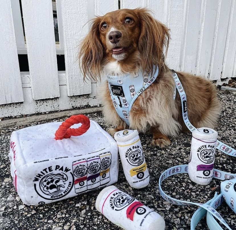 Ideal for fetch, tug-of-war, and cuddling across breeds.
